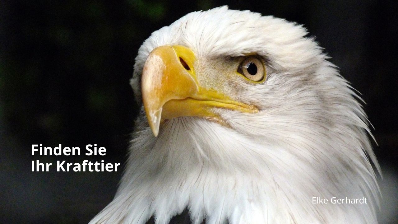 krafttier-helfertier